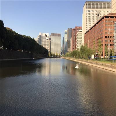 乐鱼体育手机app下载截图