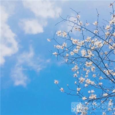 B体育·(sports)官方网站下载手机版截图