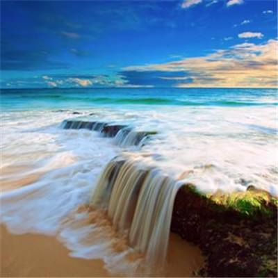 im电竞官方官网app下载