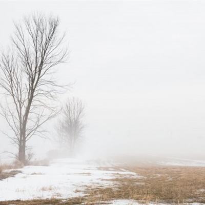 双赢彩票手机app下载截图