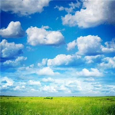 江南足球appapp下载