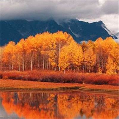 亚博网APP最新版本手机版